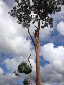 470576960_592619069988471_5021210936228460029_n