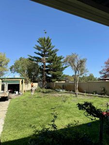 ac504fd1-8307-4f98-9d06-6521702b72d6