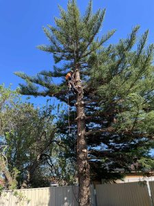 bcfeca62-3338-478b-9e0a-4c3f395a5686