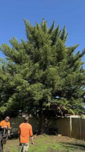 caecc4db-2152-4175-b7a1-8bfdd0ba2d55