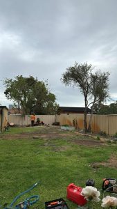 ea7c12bc-ae8c-4a96-98bb-66c06d6712c0